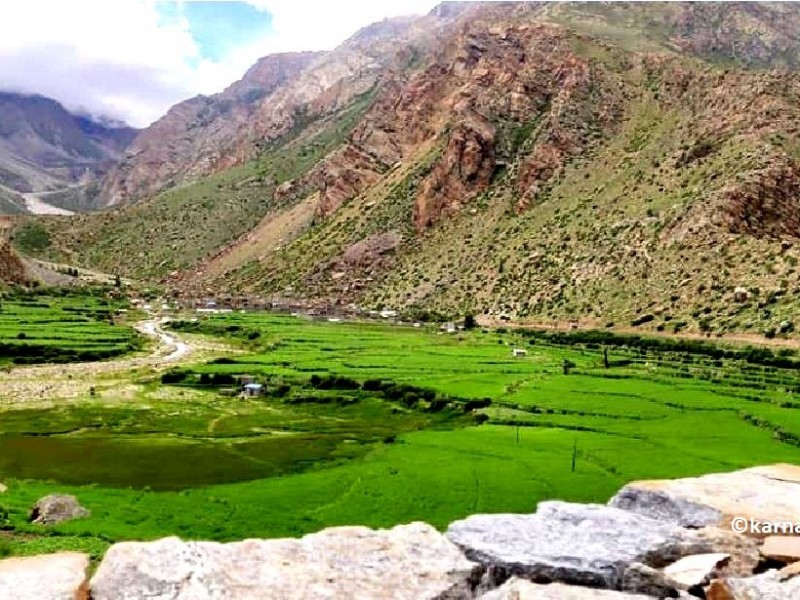 लिमीमा एक हजार क्विन्टल खाद्यान्न